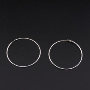 CXP16 - CANDONGAS DE PLATA  - G 4.520